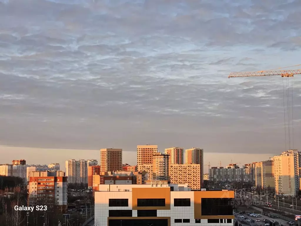 2-к кв. Калужская область, Калуга Академическая ул., 10 (65.0 м) - Фото 1