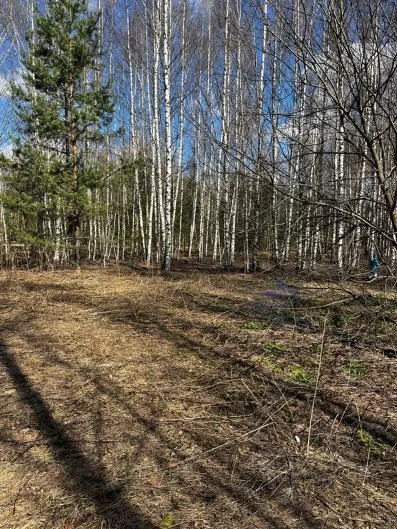 Участок в Нижегородская область, Городецкий муниципальный округ, д. ... - Фото 0