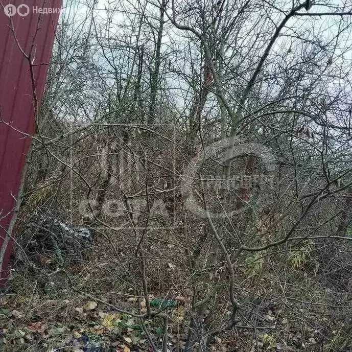 Участок в Воронеж, СНТ Отдых (5.2 м) - Фото 2