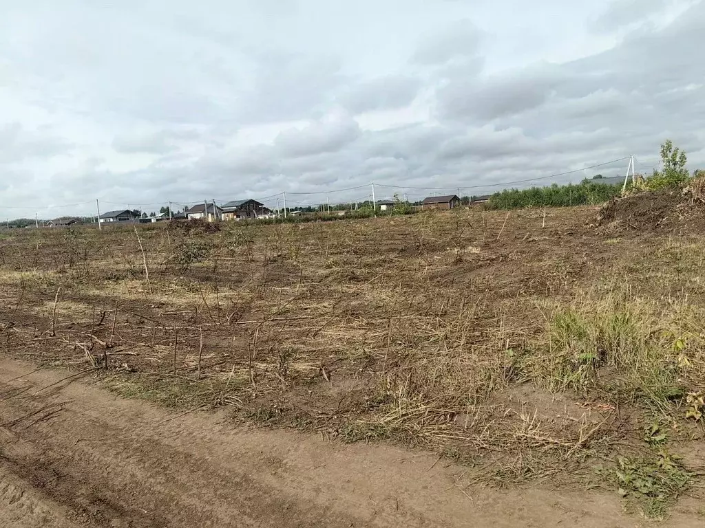 Участок в Новосибирская область, Новосибирский район, Морской ... - Фото 0