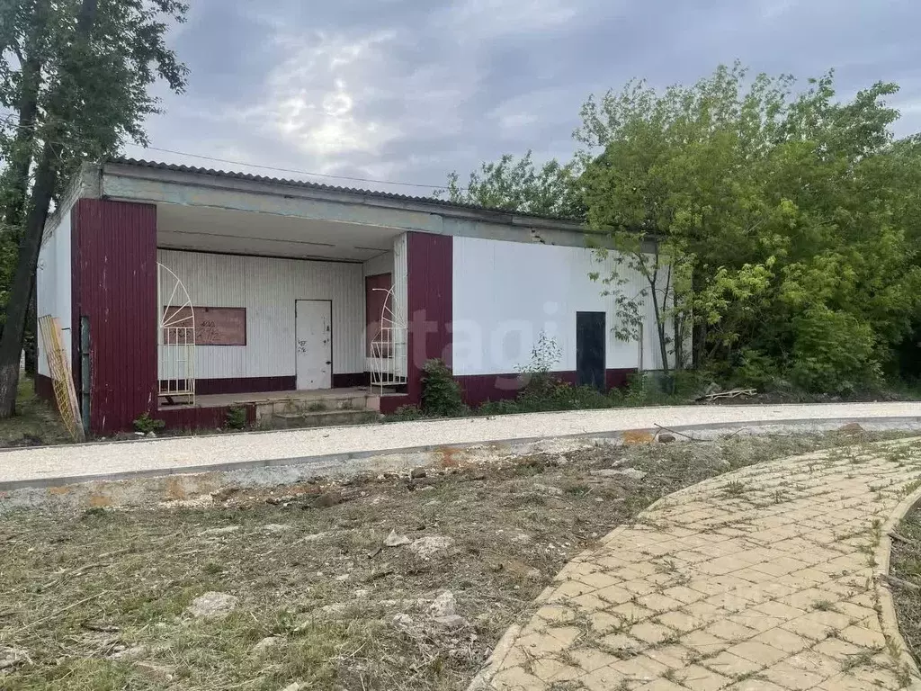 Помещение свободного назначения в Мордовия, Кадошкино рп ул. Болдина, ... - Фото 1