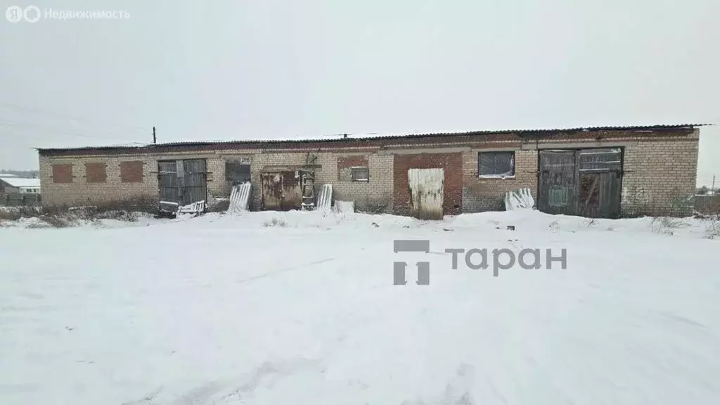 Склад (361.4 м) - Фото 2