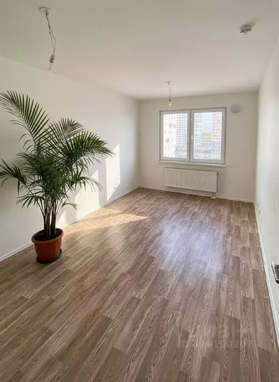 Студия Санкт-Петербург дор. Муринская, 27к2 (21.2 м) - Фото 1