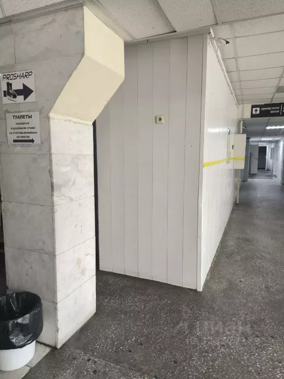 Помещение свободного назначения в Челябинская область, Челябинск ул. ... - Фото 1