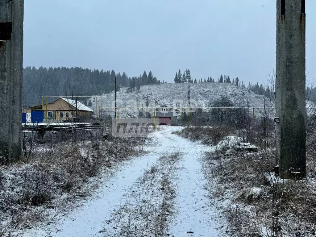 Участок в Челябинская область, Нязепетровск ул. Пушкина (50.0 сот.) - Фото 2