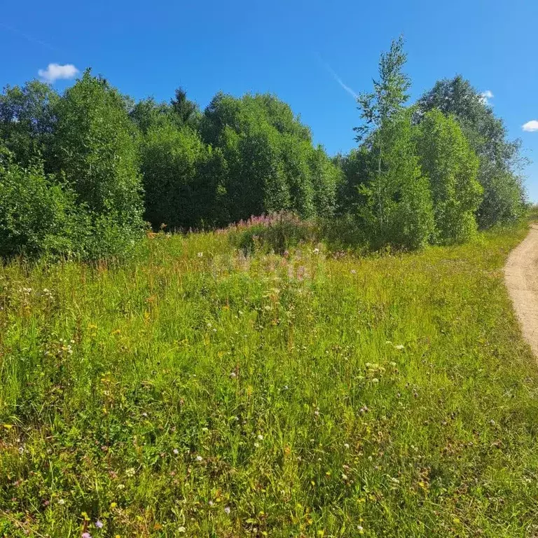 Участок в Вологодская область, Кирилловский муниципальный округ, д. ... - Фото 1