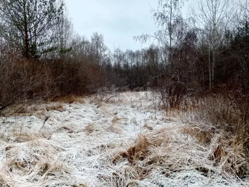 Участок в Псковская область, Псковский район, Ершовская волость, д. ... - Фото 1