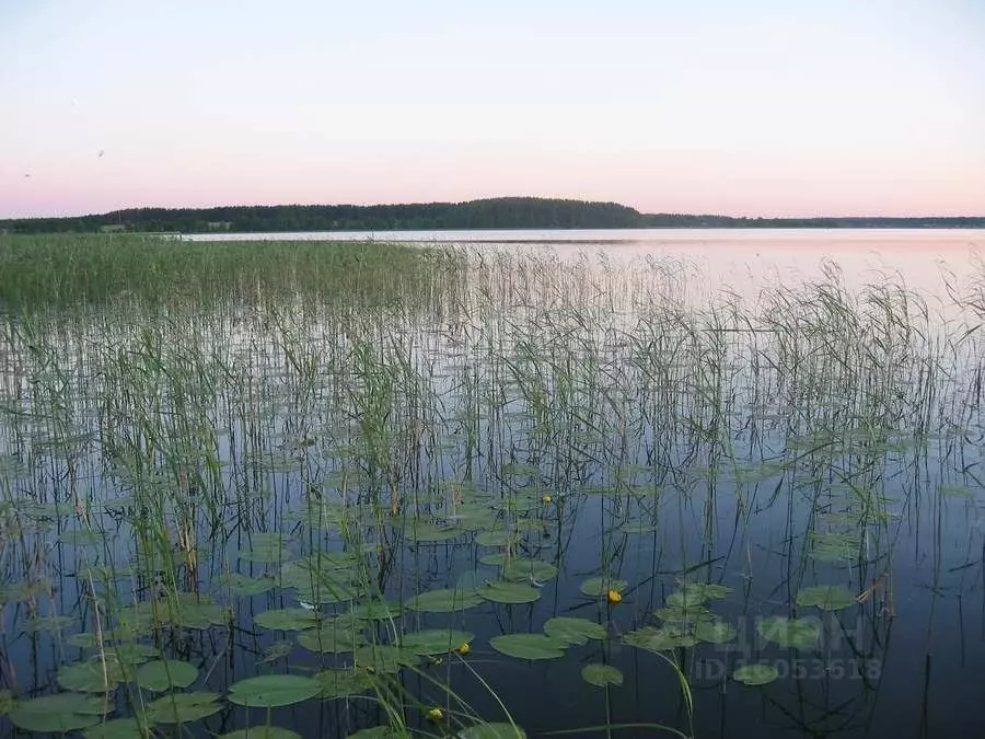 Участок в Тверская область, Осташковский городской округ, д. Конец  ... - Фото 0