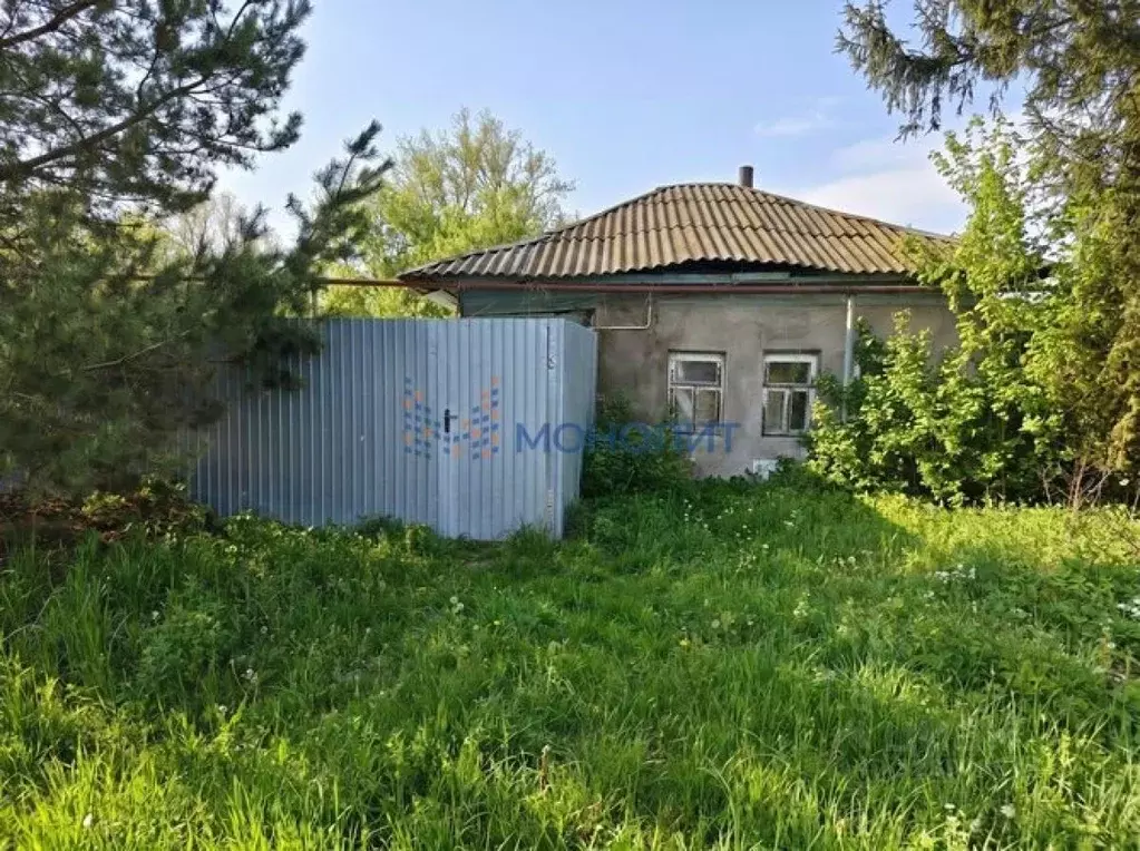 Участок в Нижегородская область, Богородский муниципальный округ, с. ... - Фото 1
