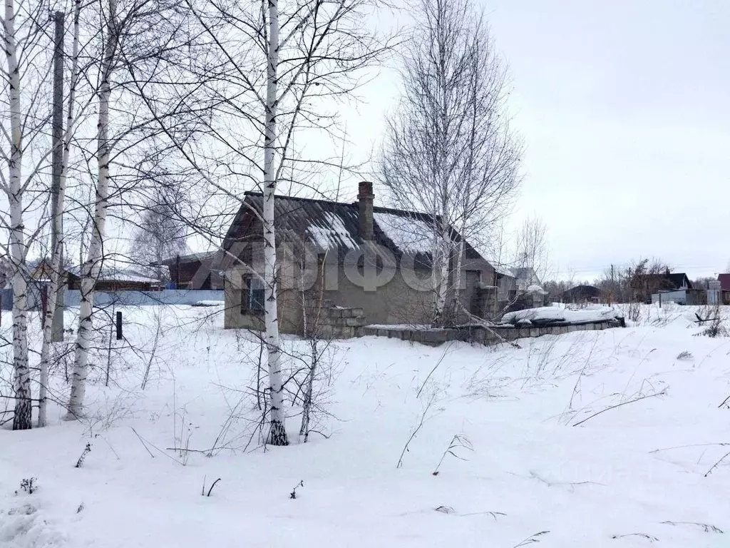 Дом в Новосибирская область, Новосибирский район, с. Боровое ул. ... - Фото 2