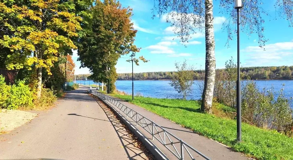 Участок в Ленинградская область, Всеволожский район, Дубровское ... - Фото 1