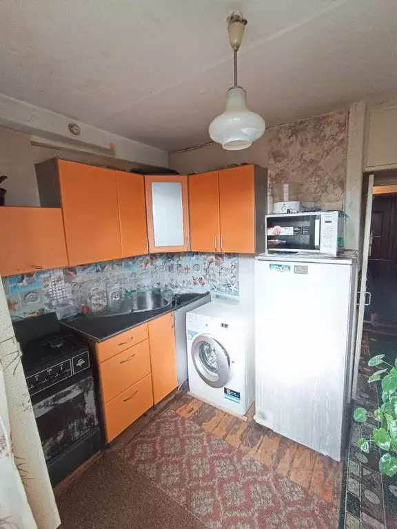 1-к кв. Алтайский край, Барнаул ул. Попова, 59 (28.8 м) - Фото 0