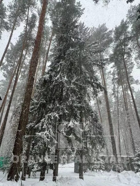 Участок в Московская область, Одинцовский городской округ, пос. дома ... - Фото 2
