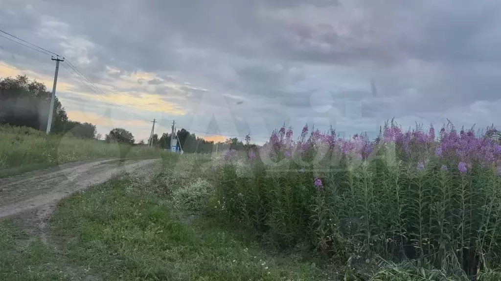 Участок 8 сот. (ИЖС) - Фото 1