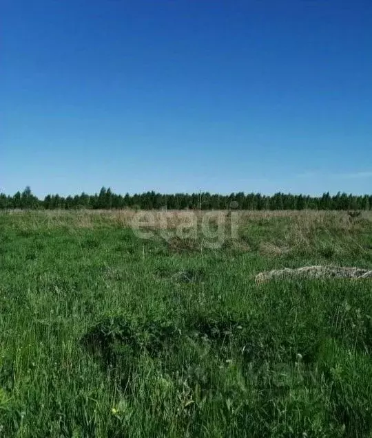 Участок в Нижегородская область, с. Дивеево  (670.0 сот.) - Фото 0