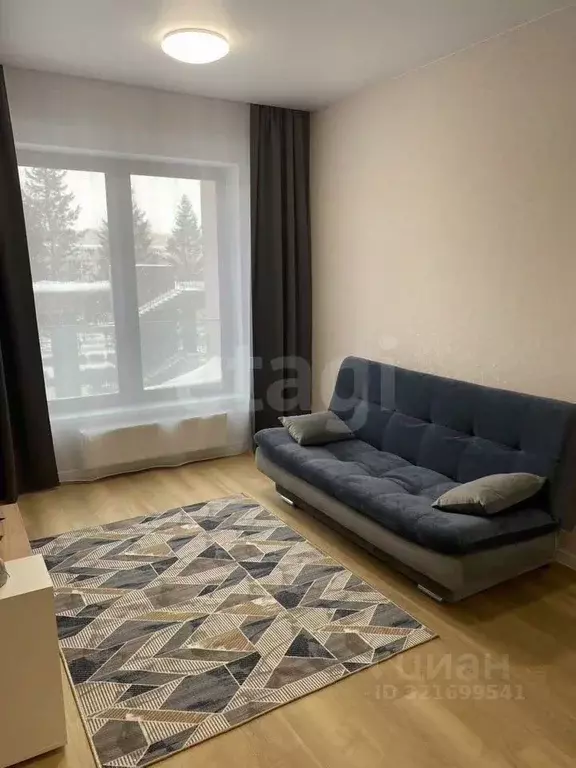 1-к кв. Новосибирская область, Новосибирск Красный просп., 220 (38.0 ... - Фото 2