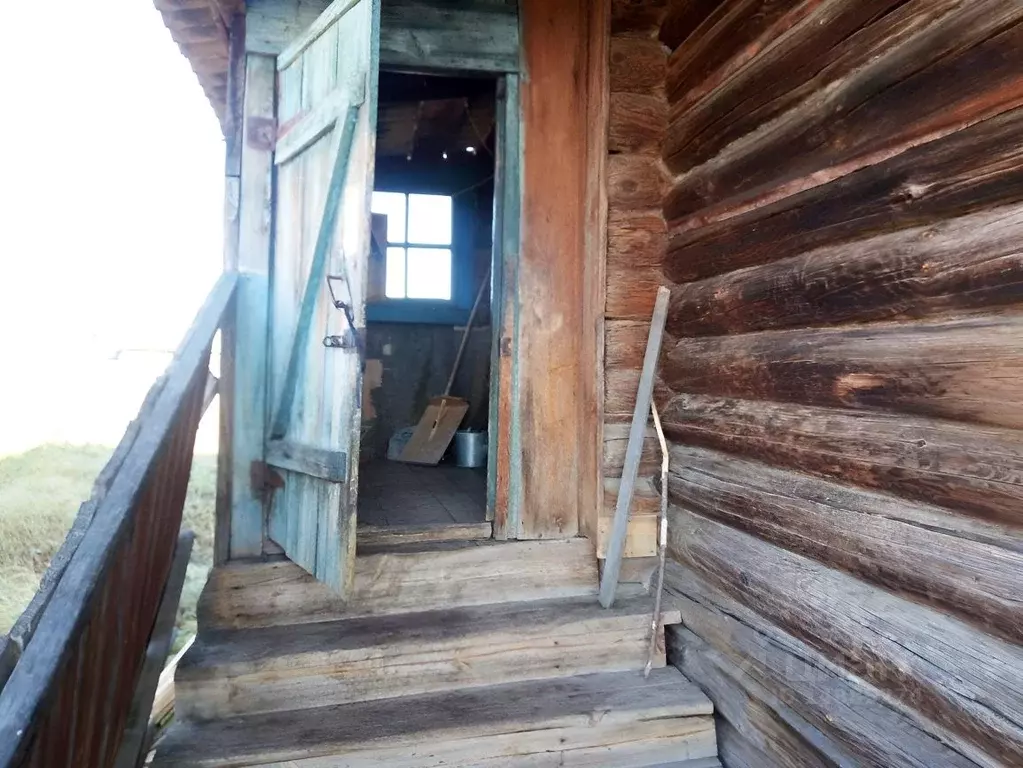 Дом в Курганская область, Притобольный район, д. Новая ул. Раздольная ... - Фото 1