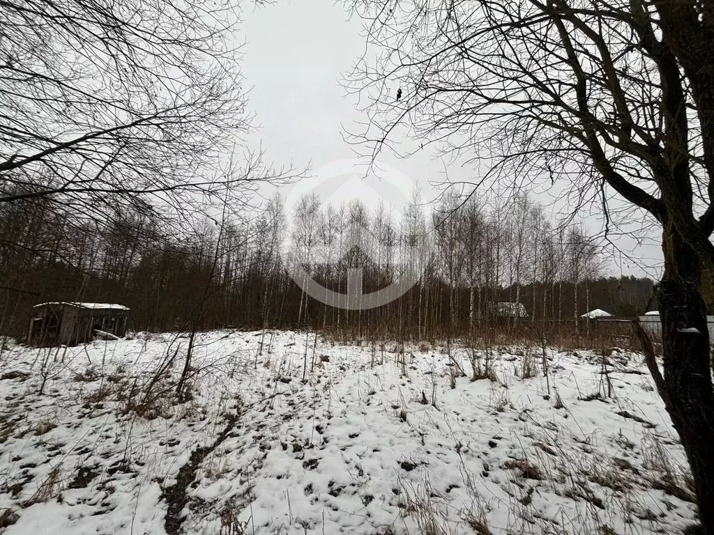 Участок в Московская область, Клин городской округ, д. Владимировка ... - Фото 0