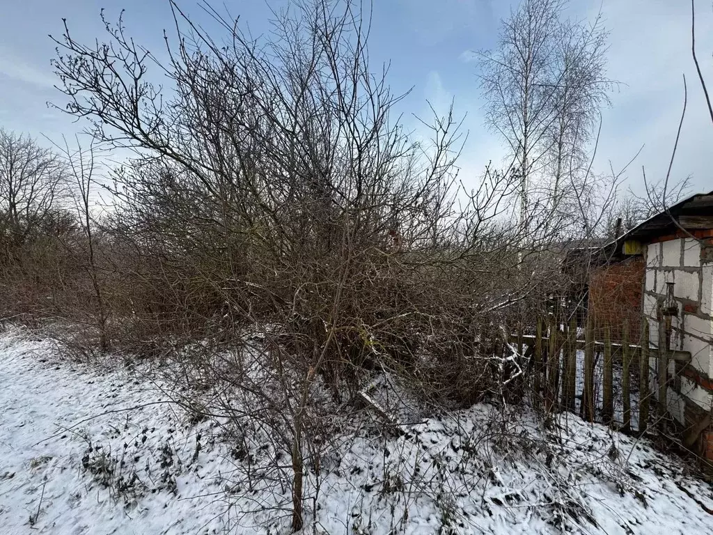 Участок в Московская область, Солнечногорск городской округ, пос. ... - Фото 1