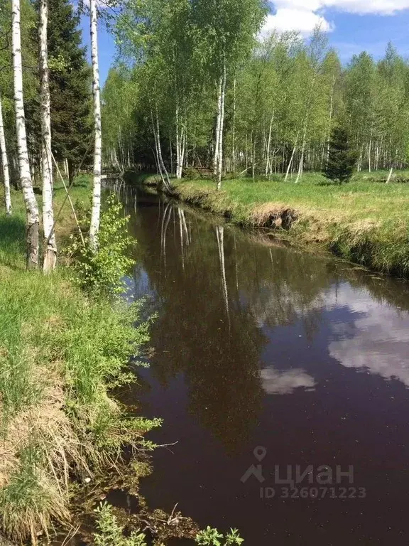 Участок в Московская область, Клин городской округ, Эколуга ТСН  (13.0 ... - Фото 2