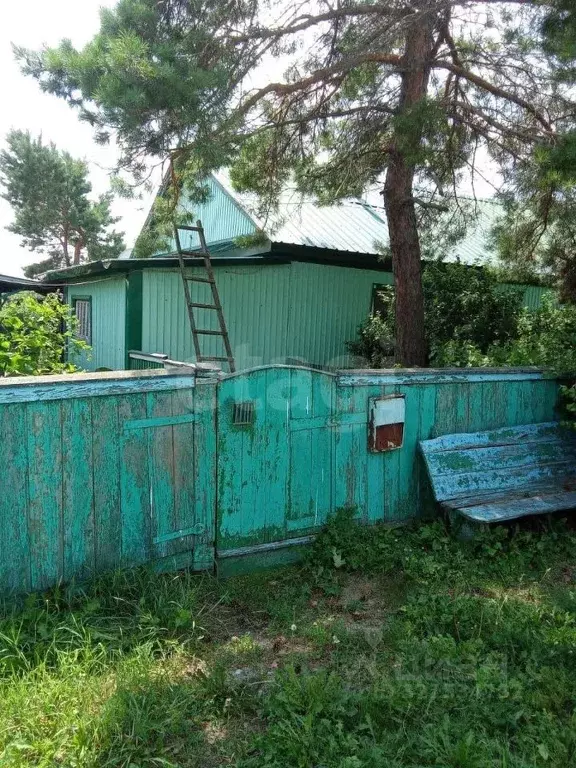 Дом в Амурская область, Тамбовский муниципальный округ, с. Раздольное ... - Фото 0