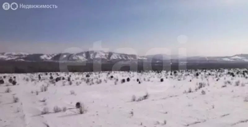 Участок в Айский сельсовет, территория Черемшанка (10 м) - Фото 1