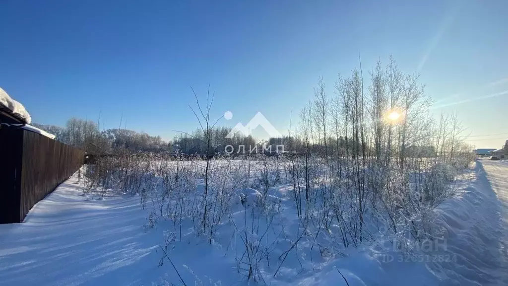 Участок в Вологодская область, д. Родионцево ул. Жемчужная (9.7 сот.) - Фото 2