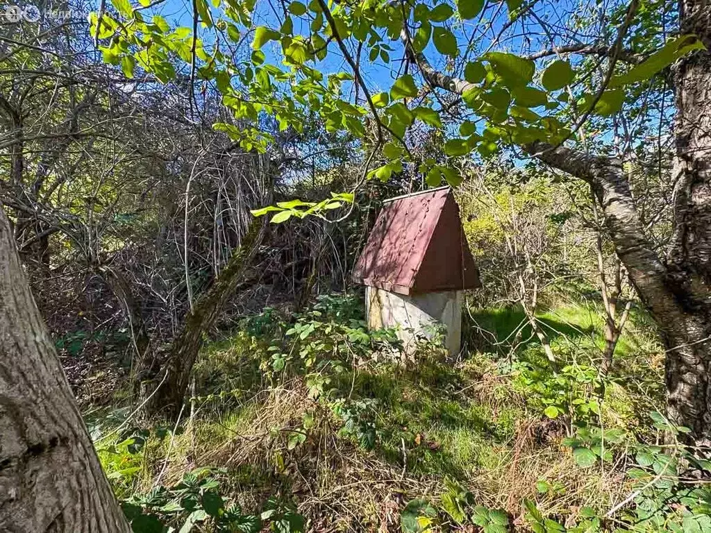 Участок в Добровское сельское поселение, село Мраморное, СНТ Садовод ... - Фото 1