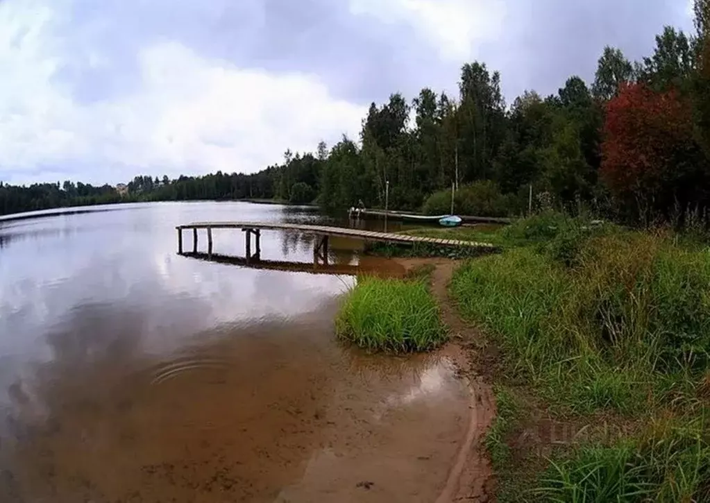 Участок в Ленинградская область, Всеволожский район, Колтушское ... - Фото 0