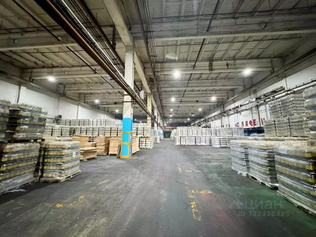 Производственное помещение в Самарская область, Сызрань ул. ... - Фото 1