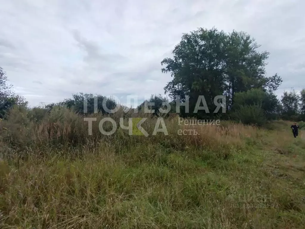 Участок в Новгородская область, Боровичи Мстинский мкр,  (16.0 сот.) - Фото 2