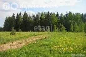 Участок в Курган, посёлок Карчевская Роща, Новая улица (9 м) - Фото 2