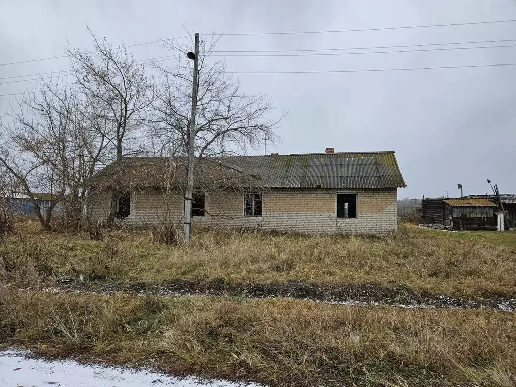 Участок в Челябинская область, Каслинский муниципальный округ, с. ... - Фото 1