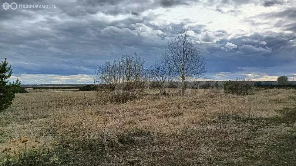 Участок в Тюменский район, село Каменка (7.5 м) - Фото 1