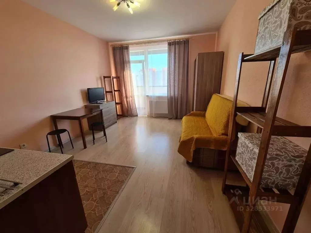 1-к кв. Санкт-Петербург пос. Шушары, ул. Вишерская, 2 (26.0 м) - Фото 2