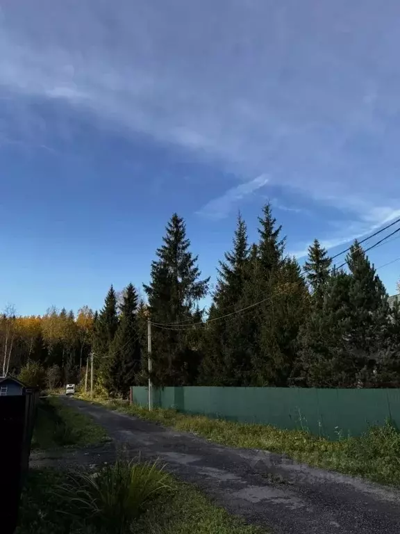 Участок в Ленинградская область, Тосненский район, Никольское ... - Фото 1