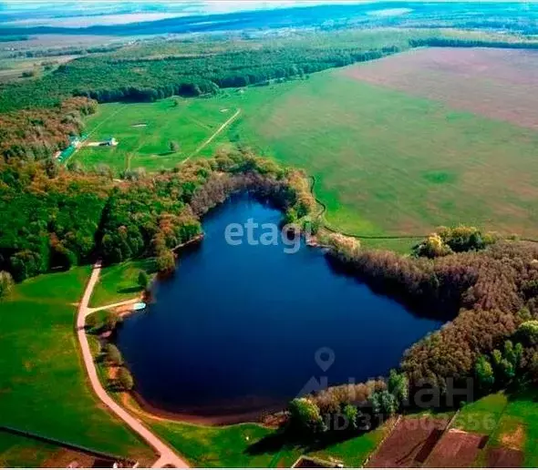 Участок в Башкортостан, Кармаскалинский район, Шаймуратовский ... - Фото 1