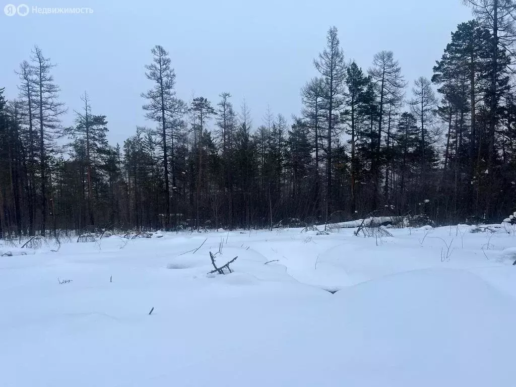 Участок в Нерюнгри, квартал МИЗ (12 м) - Фото 1