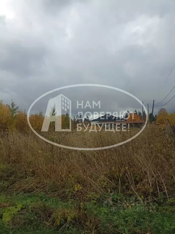 Участок в Пермский край, Лысьвенский муниципальный округ, пос. ... - Фото 1