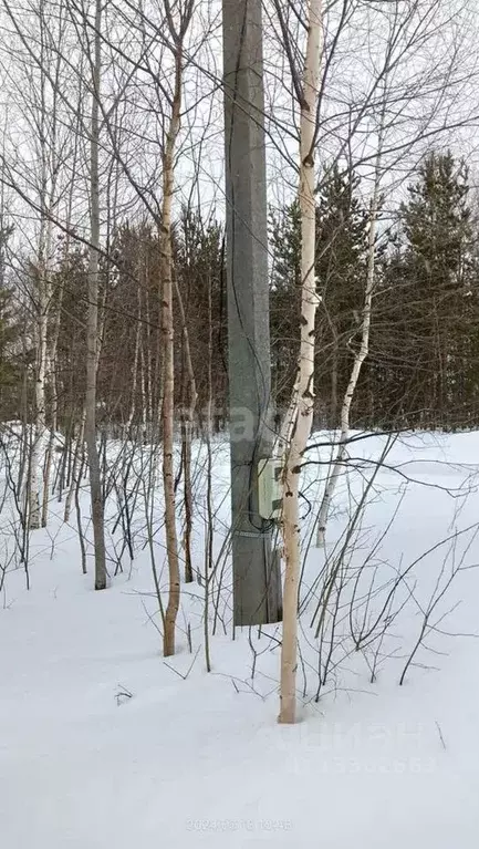 Участок в Ханты-Мансийский АО, Сургутский район, Барсово городское ... - Фото 1