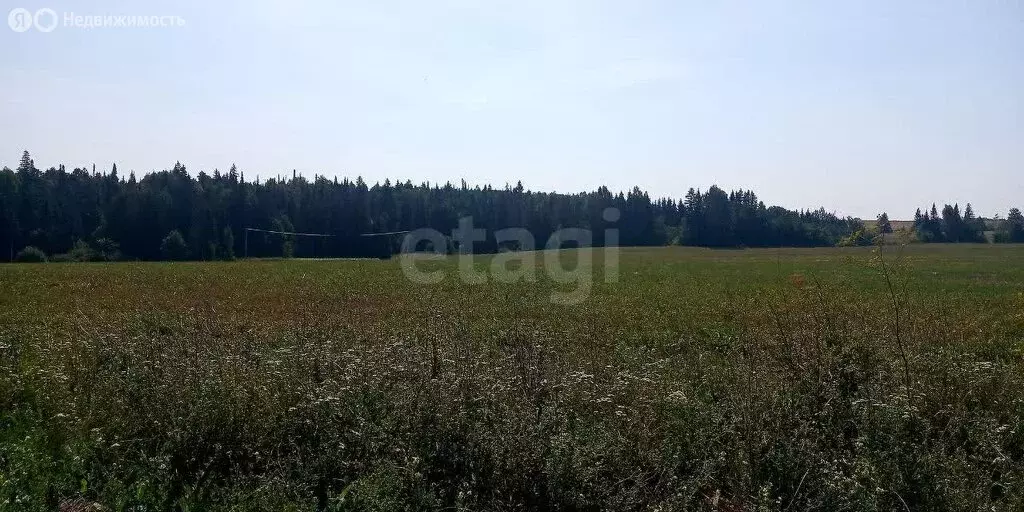 Участок в Малопургинский район, деревня Чурашур, Вишнёвая улица (10 м) - Фото 1