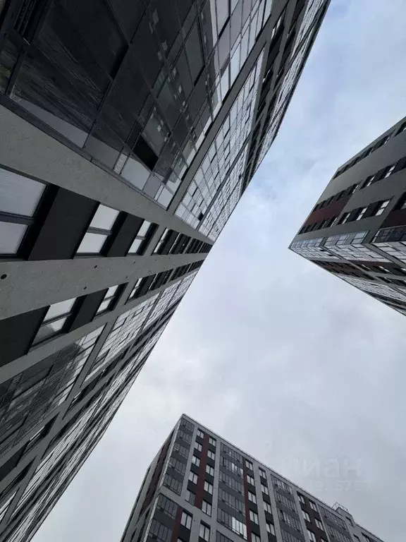 Студия Санкт-Петербург пос. Парголово, дор. Михайловская, 6 (26.0 м) - Фото 1