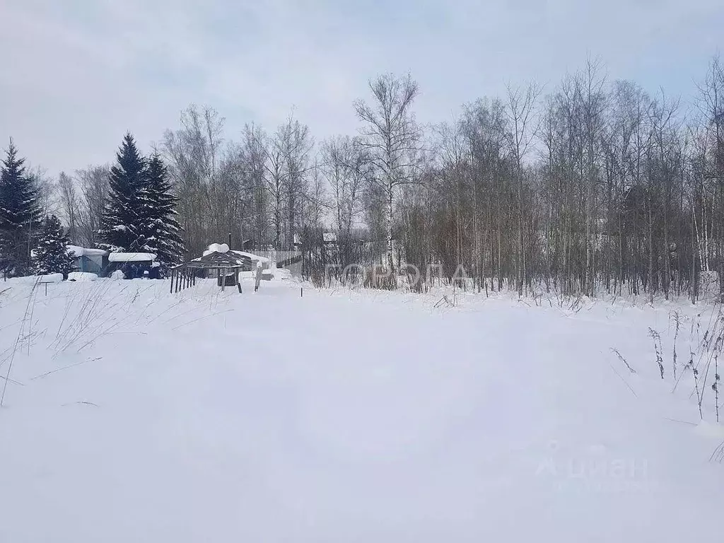 Участок в Новосибирская область, Новосибирский район, Барышевский ... - Фото 1