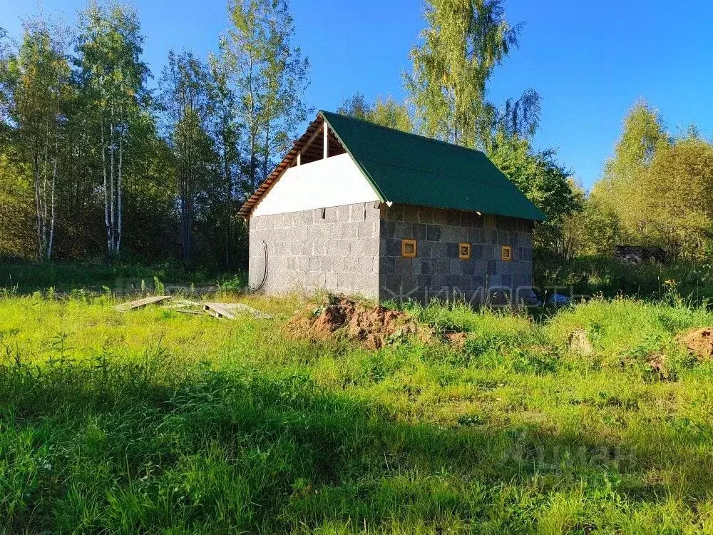 Участок в Кировская область, Юрьянский район, Мурыгинское городское ... - Фото 1