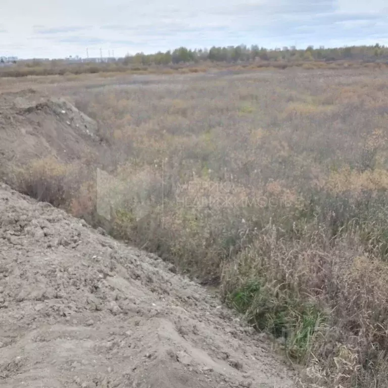 Участок в Тюменская область, Тюмень ул. Давыдова (10.9 сот.) - Фото 2