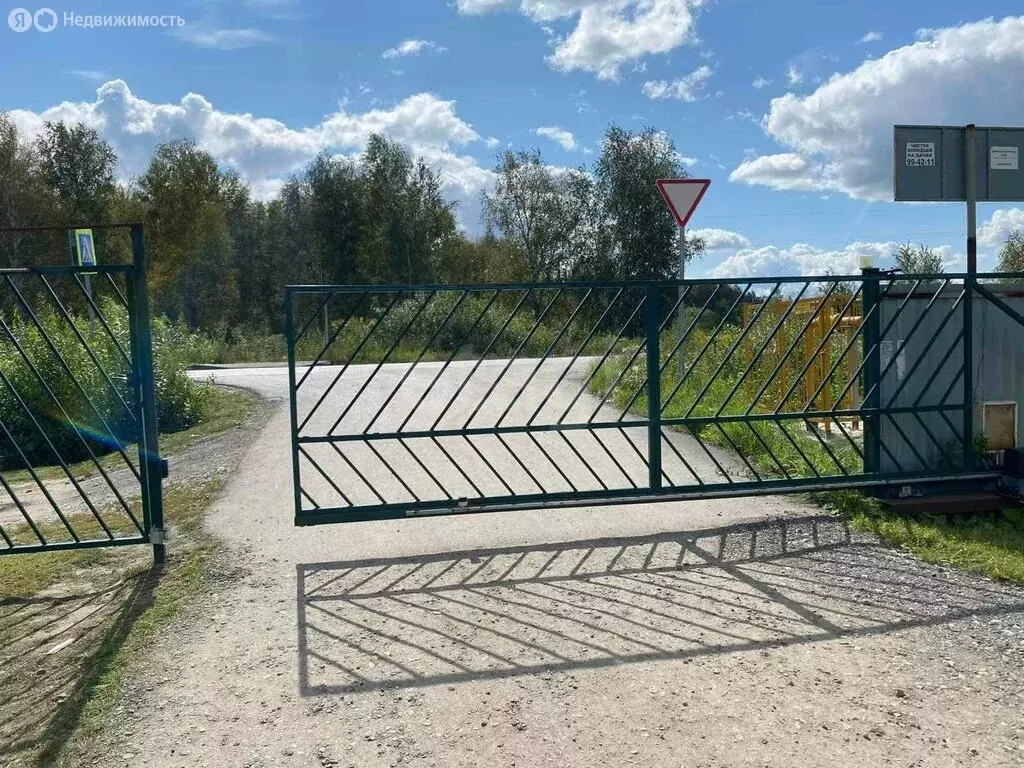 Участок в Тюмень, СНТ Пчёлка, Грибная улица (7.69 м) - Фото 2