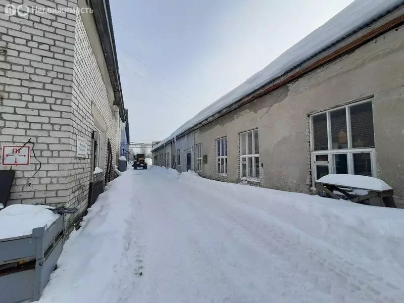 Офис (31.1 м) - Фото 2