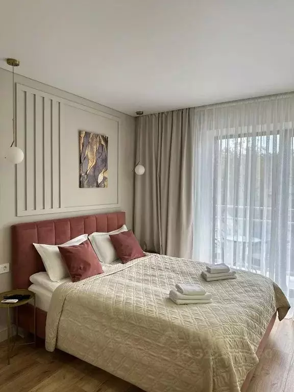 Студия Калининградская область, Светлогорск ул. Кленовая, 2 (33.0 м) - Фото 2