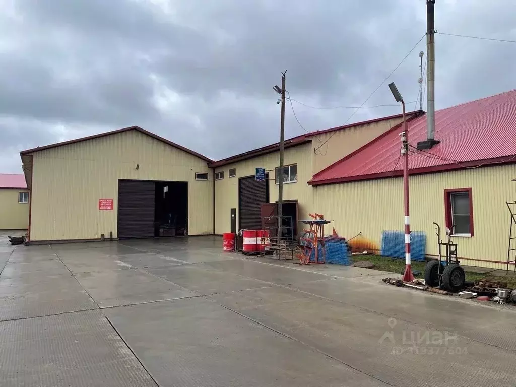 Помещение свободного назначения в Вологодская область, Вытегра ... - Фото 0