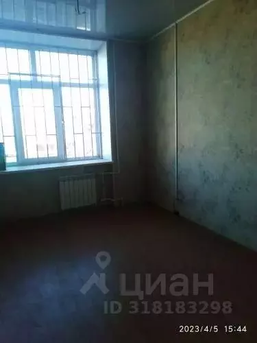 Помещение свободного назначения в Челябинская область, Златоуст ул. ... - Фото 0